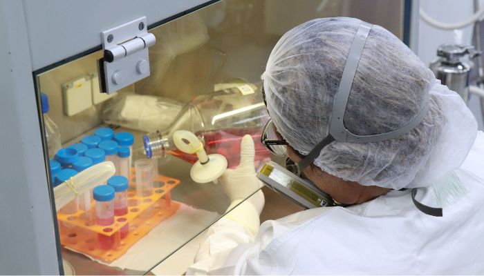 Tecpar amplia estratégias para abordagem que integra saúde humana, animal e ambiental